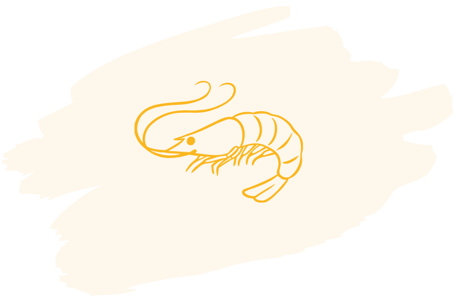 Đồ ăn ngon – tươi
